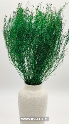 a white vase with some green plants in it