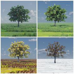 four different pictures of a tree in the middle of nowhere