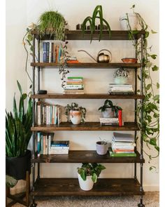 a book shelf filled with lots of books and potted plants on top of it