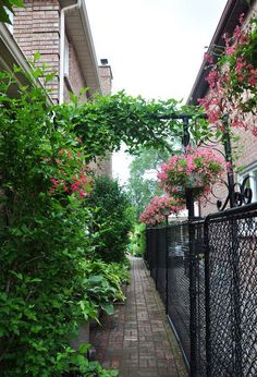 a brick walkway between two buildings with pink flowers growing on the fence and in front