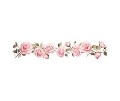 pink roses and leaves are arranged in the shape of a horizontal line on a white background