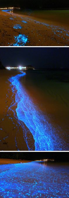 the water is glowing blue at night on the beach with lights in the sand and people walking along the shore