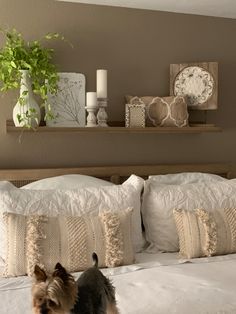 a small dog sitting on top of a bed next to pillows and flowers in vases