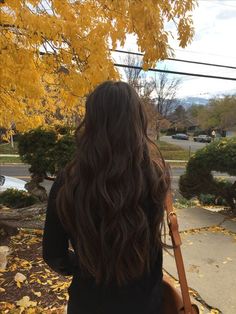 #fall #puppy #halloween #autumn #falldecor #fallaesthetic #fallvibes #falloutfit #autumnaesthetic #autumnmood Brunette Aesthetic, Long Brunette Hair, Long Brunette, Fall Pictures