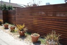 several potted plants next to a wooden fence