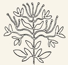 a drawing of a plant with leaves on it