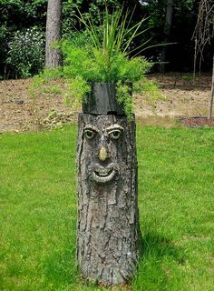 a tree stump with a face carved into it's trunk and grass growing out of the top