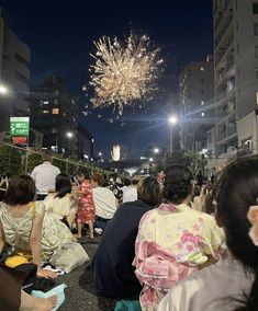 people sitting on the ground watching fireworks in the sky