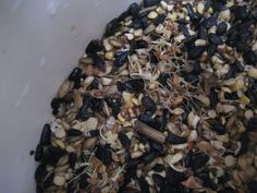 a white bowl filled with lots of different types of birdseed in it's contents