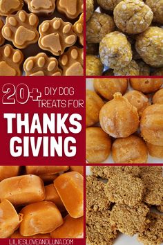 Want to make holiday dog treats? Check out our collection of 20+ easy recipes for Thanksgiving treats for dogs. From baked to frozen dog treats, you’ll find a variety of fun dog treats for Thanksgiving. Easy Christmas Dog Treats, Dog Safe Icing, Baked Dog Treats Recipes, Easy Recipes For Thanksgiving, Treats For Thanksgiving, Thanksgiving Dog Treats, Recipes For Thanksgiving