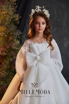 Girls Communion Dresses, Fluffy Skirt, 파티 드레스, Princess Skirt, Custom Gown, Foto Poses, Communion Dresses, Illusion Neckline, White Chiffon