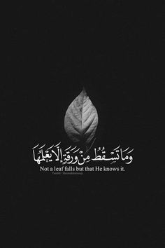 Tafsir Coran, Coran Quotes, Arabic Quote, Ayat Quran, Whatsapp Wallpaper, Ayat Al-quran, Islamic Quotes Wallpaper, Allah Quotes, Islamic Teachings