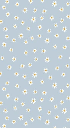 a blue background with white and yellow daisies