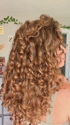 Ginger Brown Hair, Curl Clumps, Curly Ginger Hair, Strawberry Blonde Hair Color, Brown Hair Inspo