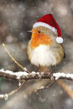 a small bird sitting on top of a tree branch covered in snow and dusted with snowflakes