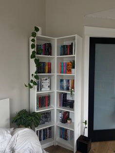 a room with a bed, bookshelf and plants