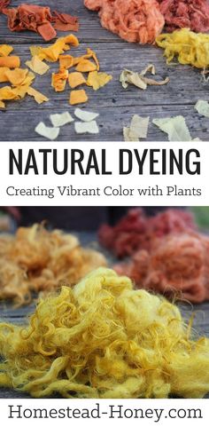 natural dyeing is an easy way to create vibrant colors with plants and flowers that you can use in your home