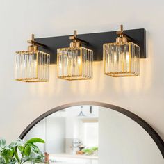 three lights on the wall above a mirror and potted plant in front of it