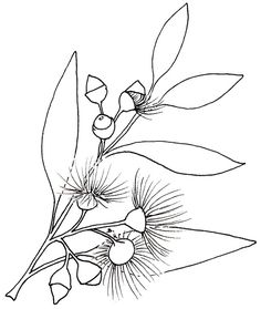 a branch with leaves and berries is shown in this black and white drawing on paper