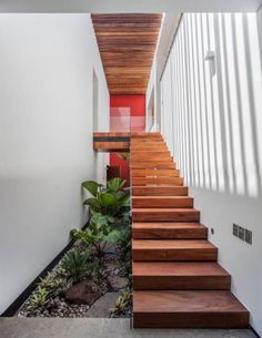 the stairs are made of wood and have red painted panels on them, along with plants