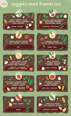 an info sheet with different types of vegetables