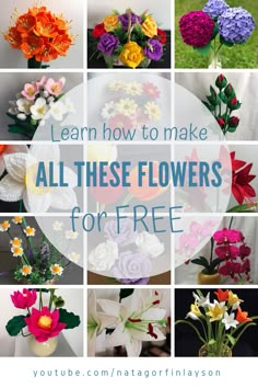 flowers that are all in different colors with the words learn how to make all these flowers for free