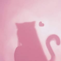 a shadow of a cat on a pink wall