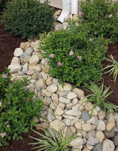 there is a small garden with rocks and plants