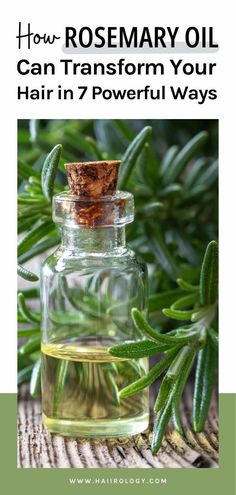 Rosemary oil is a game-changer for your hair! In this post, I share 7 incredible benefits of rosemary oil that can transform your hair care routine. From stimulating hair growth and reducing hair loss to improving scalp health and adding shine, rosemary oil has it all. Learn how to incorporate it into your routine, and even how to make your own rosemary oil at home. Ready for stronger, healthier hair? Visit the blog now to discover the magic of rosemary oil and how it can work wonders for you! How To Make Rosemary Oil, Rosemary Hair Oil Recipe, Rosemary Hair Oil, Rosemary For Hair, Rosemary Oil For Hair Growth, Stimulating Hair Growth