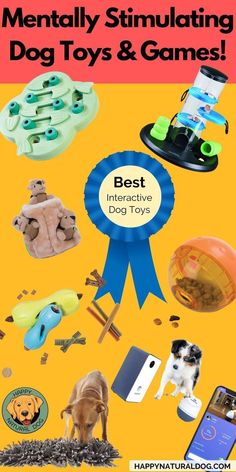 Brain Games 4 Dogs by Vi Dog Toy Ideas, Gsp Dogs, Reactive Dog