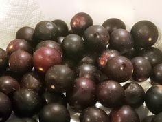 some black grapes are in a white bowl