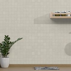 a potted plant sitting on top of a wooden shelf next to a white tiled wall