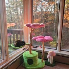 a cat sleeping on top of a tree house in front of a window with trees outside