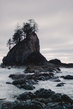 an island with trees on top of it near the ocean and rocks in the foreground