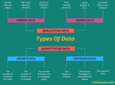 the different types of data that are available in this infographtion chart for students