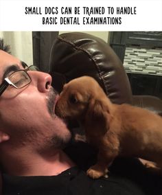 a man laying on top of a couch with a puppy in his lap next to him