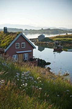 a red house sitting on top of a lush green hillside next to a body of water