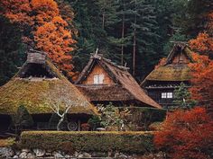 an old style house with thatched roofs surrounded by autumn foliage and trees in the background