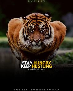 a tiger walking across a lush green field