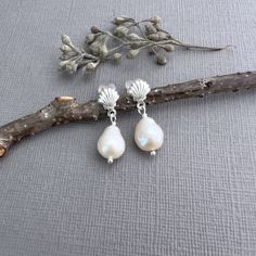 "✦These dainty earrings have seashell shaped post ear wires and lustrous white natural, real baroque teardrop shaped freshwater pearls. The pearls measure about 8mm long by 7mm wide and the posts earrings components come sterling silver.  ✦The clutch earring back is made with sterling silver clutches that are imbeded in hypoallergenic silicone stoppers, which make them tight and sturdy.  ✦Earring length is about 3/4 inches. ✦Click here to see these earrings in 14k gold filled https://www.etsy.co Pearl Drop Shell As A Gift, Elegant Nickel-free Shell Earrings, Shell-shaped Pearl Drop Earrings For Gifts, Shell-shaped Pearl Earrings For Gift, Silver Dangle Shell Earrings For Gift, Ocean-inspired Pearl Drop Earrings, Sterling Silver Shell As Gift, Shell-shaped Pearl Charm Earrings As Gift, Silver Shell-shaped Pearl Earrings For Gifts