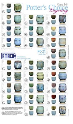 the potter's choice catalog features many different bowls