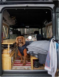 a dog is sitting in the back of a van