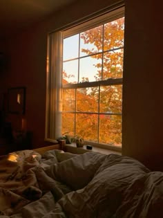 an unmade bed in front of a window with autumn foliage outside the windowsill