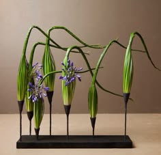 four purple flowers are placed in black vases with long stems sticking out of them