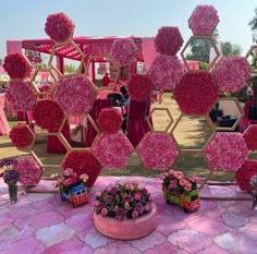 pink flowers are arranged in the shape of hexagons on display at an outdoor event