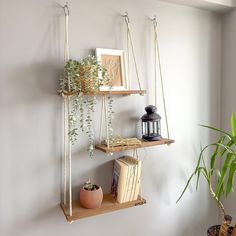 3 Tier Hanging Shelves for Wall, Plant Shelf Hanging Plant Shelf, Float Shelf, Window Plant Shelf, Hanging Wood Shelves, Hanging Rope Shelves, Long Floating Shelves, Macrame Shelf, Shelves For Wall, Floating Shelves Bathroom