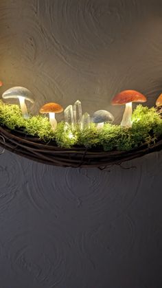 a group of mushrooms sitting on top of a green moss covered wall next to a light