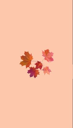 three maple leaves floating in the air on an orange background