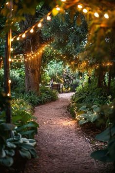 a path that has lights strung over it and some trees in the background with benches on each side