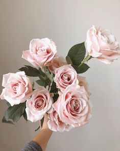 a person's hand holding a bouquet of pink roses